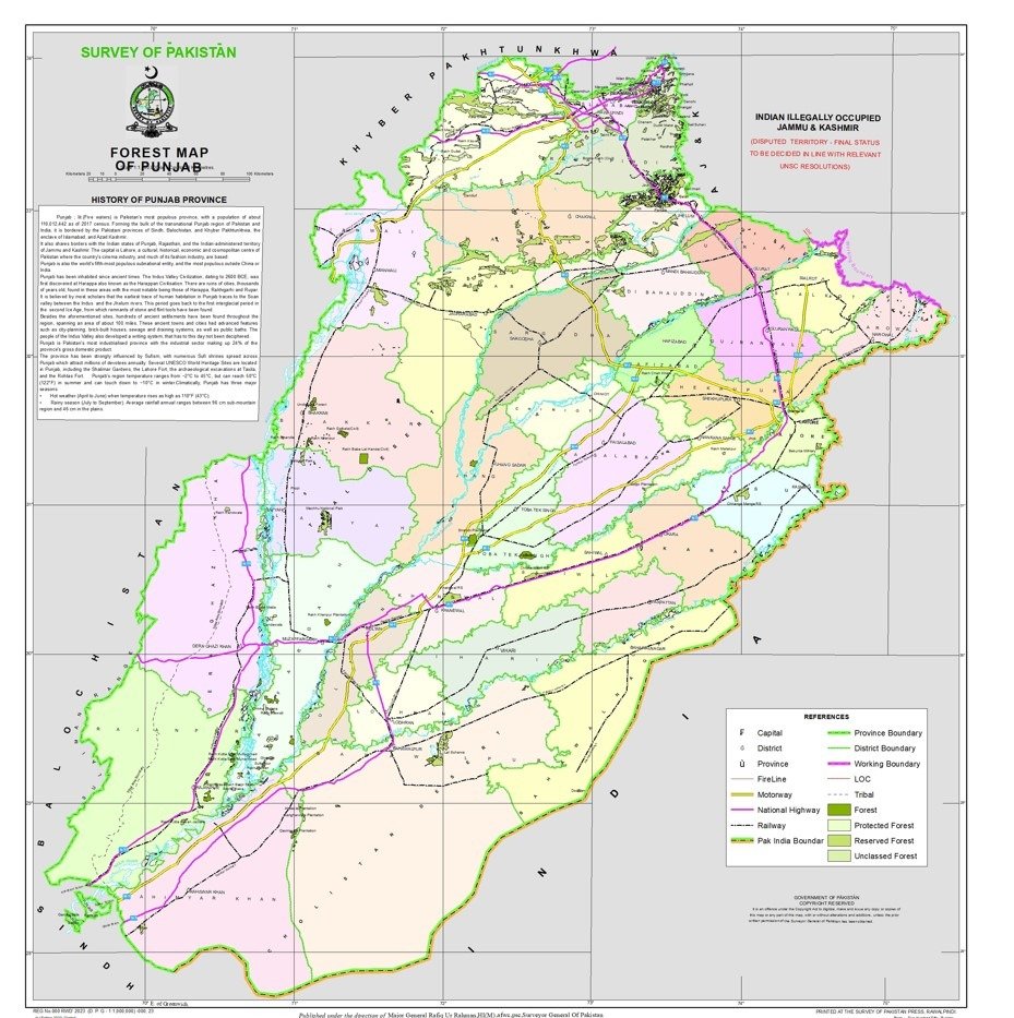 Forest Maps